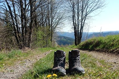 Frankenwald Chalets - Lodge Traudl