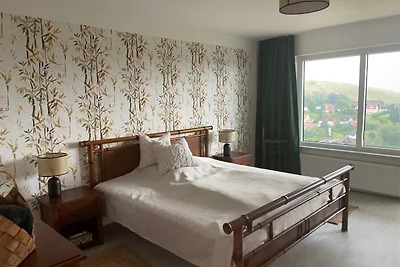 Schöne Höhe 600 FeWo Ausblick