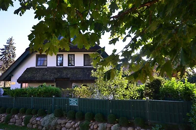 Ferienhaus "Strandflieder" in Gross