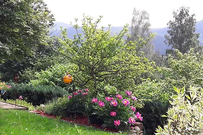 Ferienwohnung-Panoramablick -4