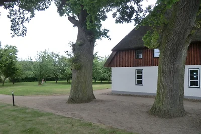 Lütow, Zum Möwenort 15 WE 4