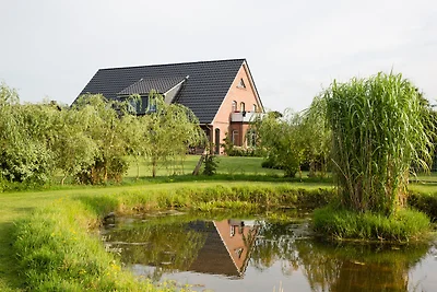 Vakantieappartement Gezinsvakantie Offenbüttel