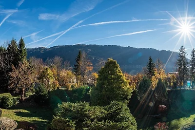 Vakantieappartement Gezinsvakantie Treffen am Ossiacher See
