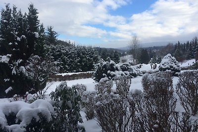 Harz Fewo Eulennestchen S.1