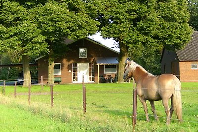 Vakantieappartement Gezinsvakantie Papenburg