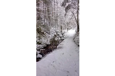 Haus Herzogenhorn - Sunrise