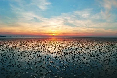 Appartment 129 in Tossens