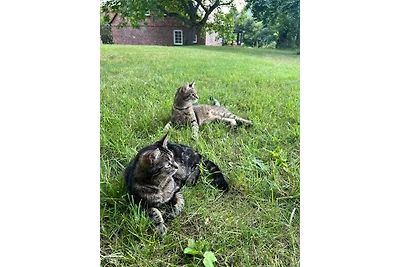 Ruhige FeWo im Nussbaumhof -