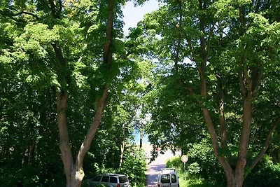 Vakantieappartement Gezinsvakantie Kühlungsborn