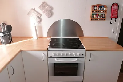 Appartamento Vacanza con famiglia Fjerritslev