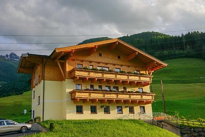 Vakantieappartement Gezinsvakantie Mittersill