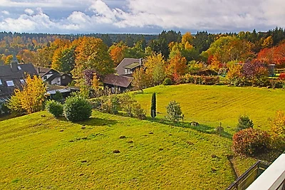 Kaminfeuer - Happy Harz