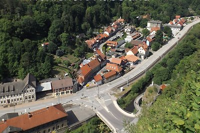 Harzhaus Fewo Gartenblick