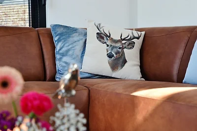 Royale Cube mit Dachterrasse.