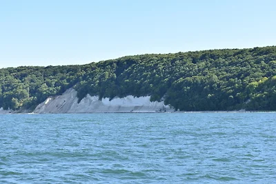 Ferienhaus Schäferhund