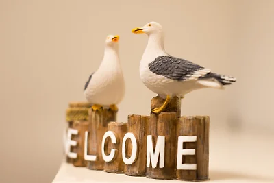 Ostsee - Appartement Nr. 63