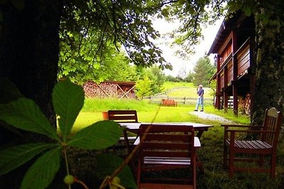 Vakantieappartement Gezinsvakantie Freudenstadt