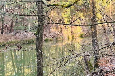 Bungalow im Wald am See - Biberspur