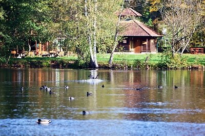 Vakantieappartement Gezinsvakantie Südwestpfalz