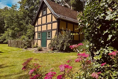 Vakantiehuis Ontspannende vakantie Eydelstedt