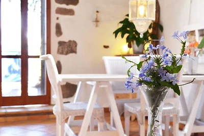 Yazmina - Finca Creativa