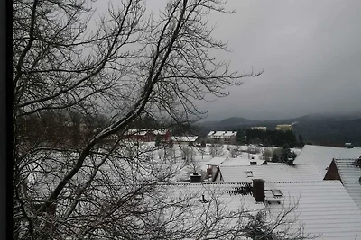 Blick über Hohegeiss