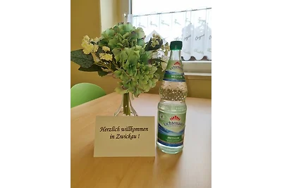 Vakantieappartement Gezinsvakantie Zwickau