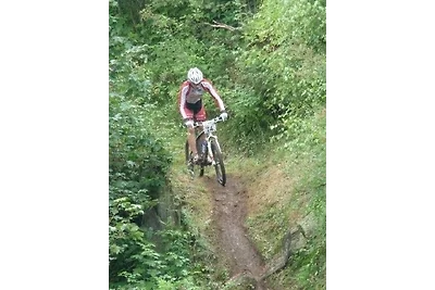 Vakantieappartement Gezinsvakantie Vöhrenbach