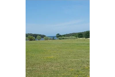 Olivia Valkanela App. 2