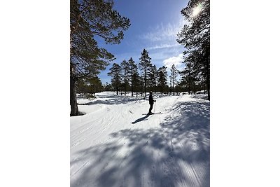 Vakantiehuis Ontspannende vakantie Telemark