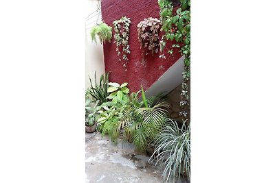 casa de omaris y cesar Appartement