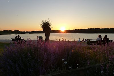 Einraumappartement am See