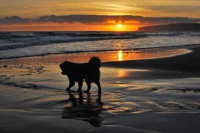 Vakantieappartement Gezinsvakantie Büsum