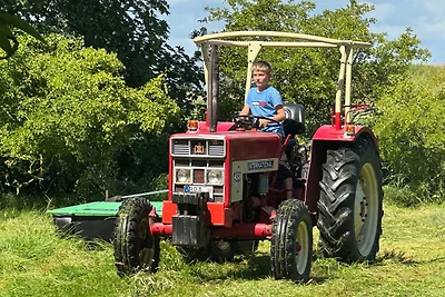 Ferienhof Bruns - Hof 1