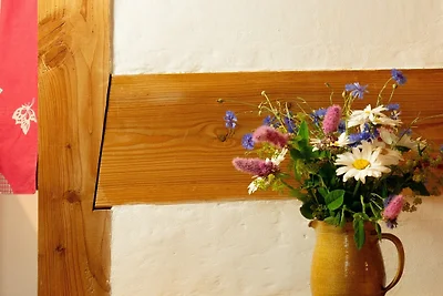 ökologische Ferienwohnung Rossee