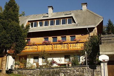 Bühlhof Todtnauberg Gästehaus