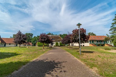 Schwabennest 2
