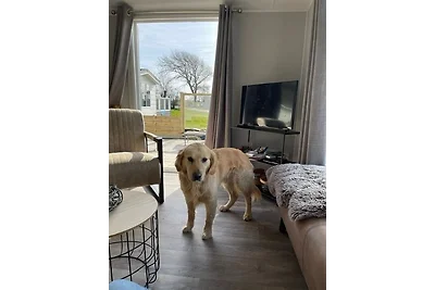 Neues Ferienhaus Nr. 47 mit