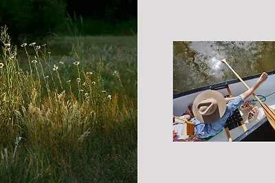 Tiny House im Grünen (201) -