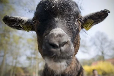 Mühlenhof Soderstorf Wohnung A