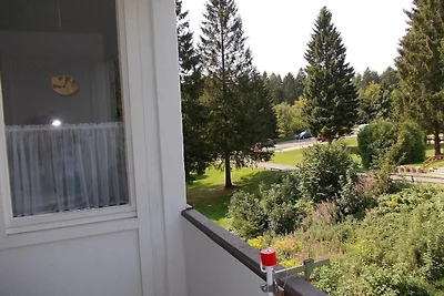 Fewo Hemlock Hahnenklee, mit Balkon