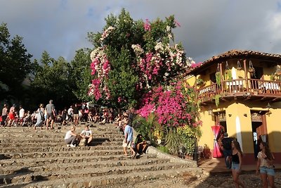 Hostal Raul Appartement 1
