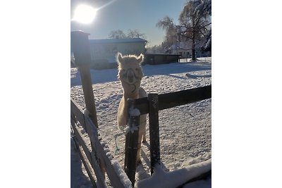 Ferienwohnung Sonnenschein mit