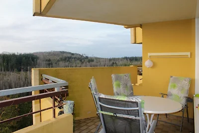 Vakantieappartement Gezinsvakantie Hohegeiß