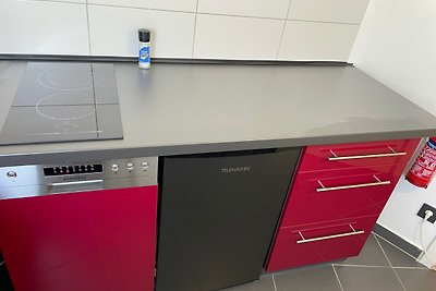 Vakantieappartement Gezinsvakantie Mainz