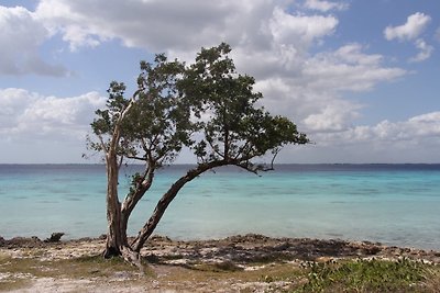 Appartement Vacances avec la famille Playa Larga