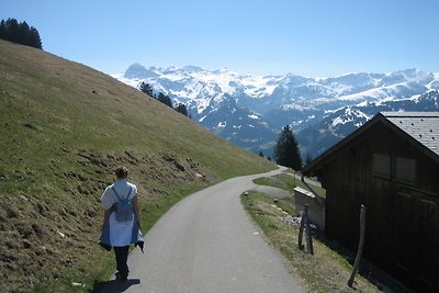 Lenk,Berner Oberland,Ferienwohnung
