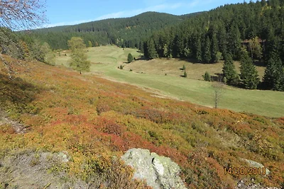 Vakantiehuis Ontspannende vakantie Marksuhl