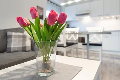 Villa Seewind Wohnung 1