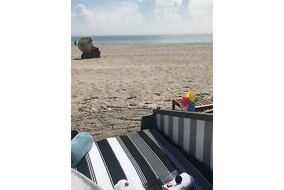 Klarsinnchen 3 NEU !!!